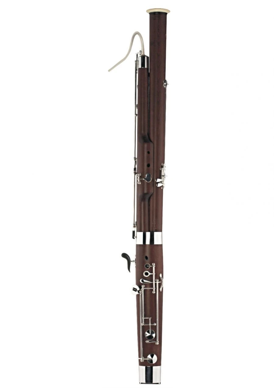 Fagottino Musical Instrument for Children's Education - DBN-301