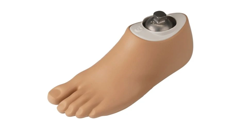 Foot Prosthesis for Lower Limb Amputation