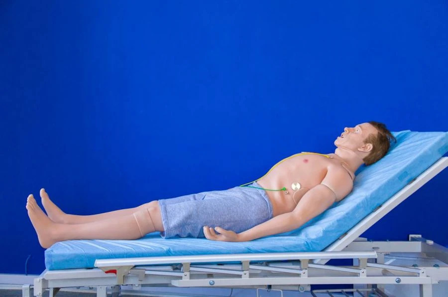 Adult Patient Simulator R.P.V.HF