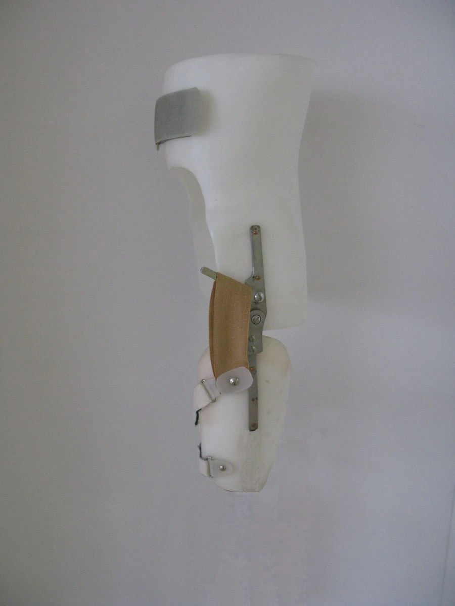 Hip Joint Orthosis Device for Rehabilitation