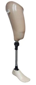 Therapeutic-Training Hip Prosthesis PN6-M-LT