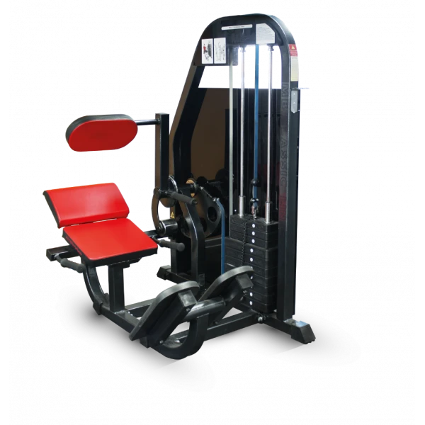 Spinal Extension Trainer with Weight Stack