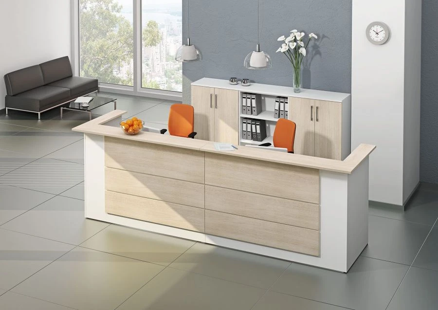 Ergonomic Office Furniture Collection "PROFIT