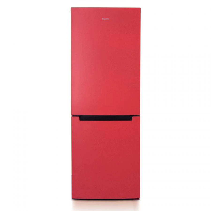 Two-Chamber Refrigerator Freezer "Biryuza H820NF
