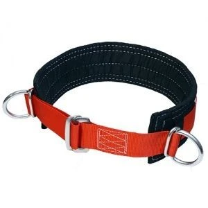 Safety Harness UP 1 - Protective Belt with Buckle
