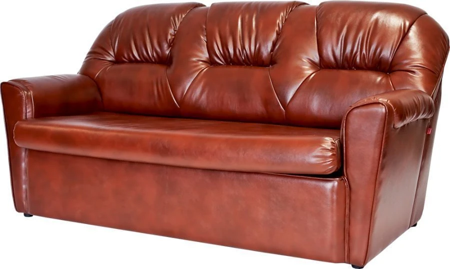 Upholstered Sofa D1 with Wooden Frame and Armrests