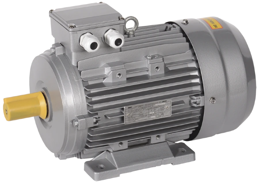 Asynchronous Three-Phase Electric Motor 5.5kW 3000rpm AIS 112L2