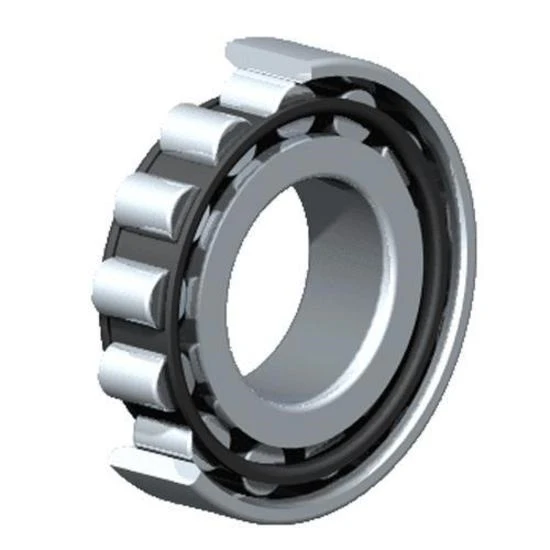 Single Row Radial Roller Bearing 283045Y1