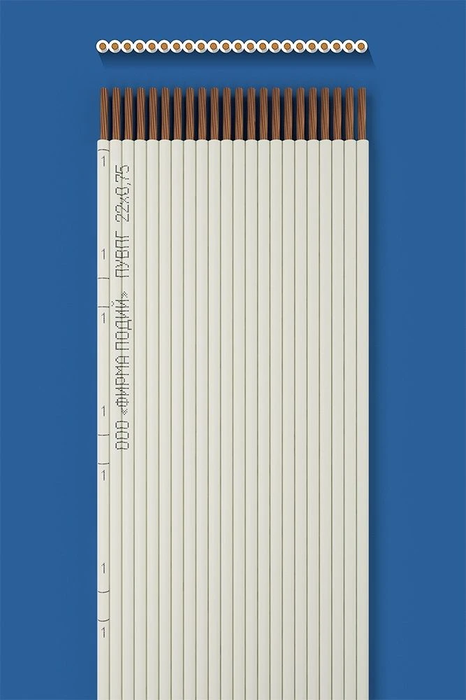 Flat Installation Wire PUVPG 22x0.75