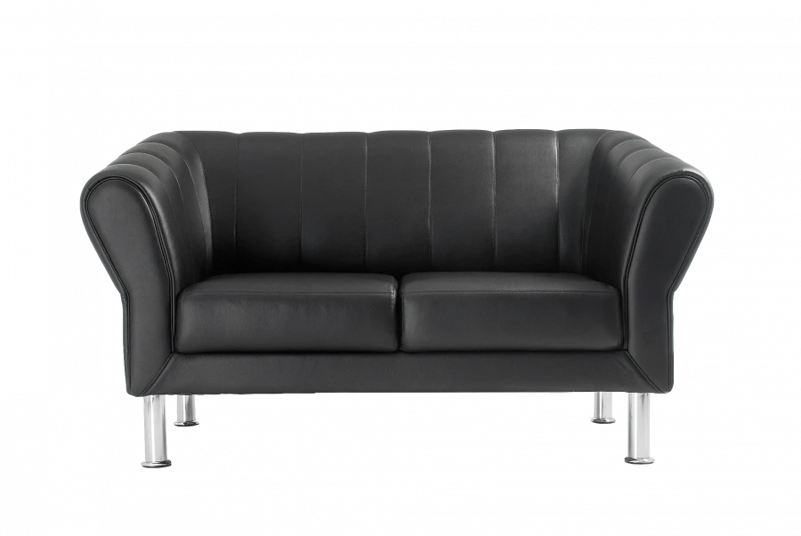 Larry+ 2-Seater Sofa - Stylish and Comfortable Seating