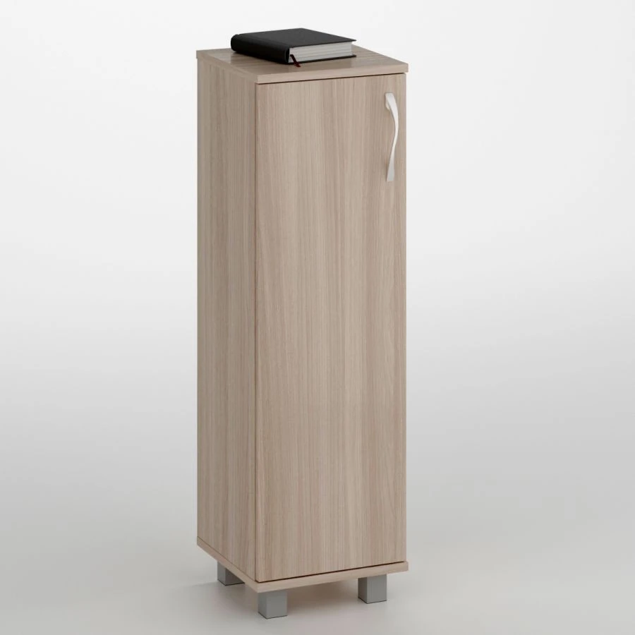 Low Document Cabinet with One Door