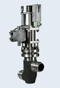 Pneumatic Actuated Bellows Shut-off Valve DN 100 ZT96547