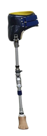 Modular Hip Disarticulation Prosthesis PN8-M