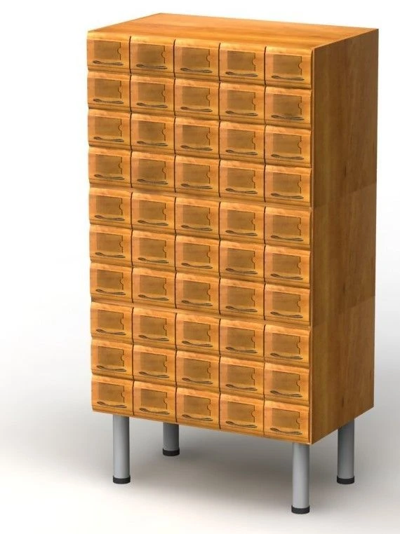Library Storage Cabinet for Reader Forms