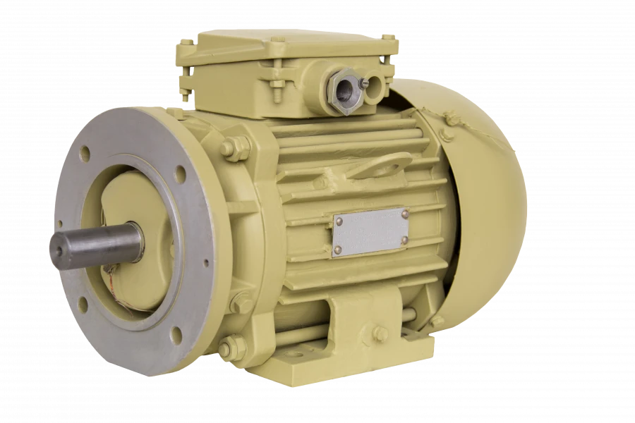 Three-Phase Asynchronous Motors DM100, DMN100 (1.1-2.2 kW)