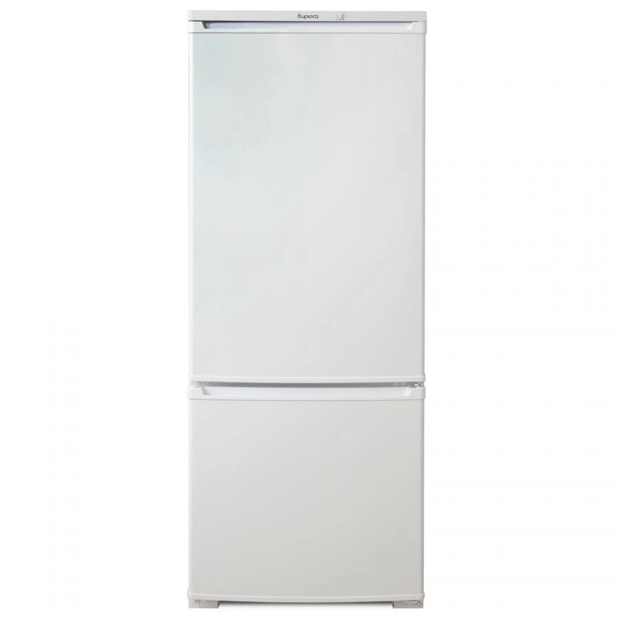 Two-Chamber Refrigerator with Bottom Freezer "Biryuza 551