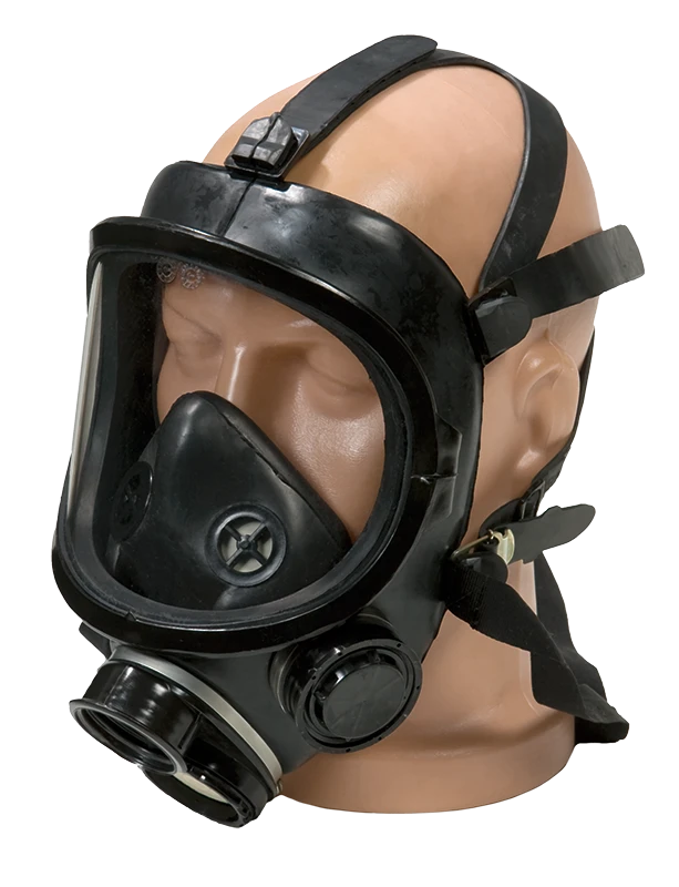PPM-88 2S Panoramic Respiratory Mask