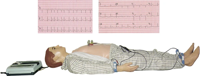 ECG Skill Training Mannequin XDI