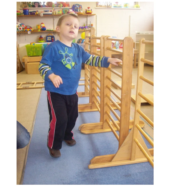 Swedish Wall for Physical Therapy (AFK)