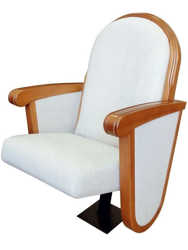 Comfortable Assembly Chair with Armrests for Auditoriums