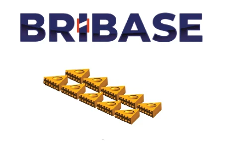 BB.VS.100.60.160 Комплект из 10 вставок Mini Grip для группы материалов P (сталь) BriBase