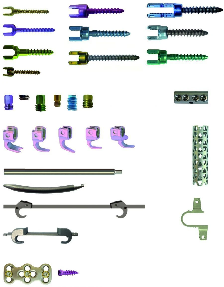 Neuro-Surgery Implant System for Spinal Stabilization