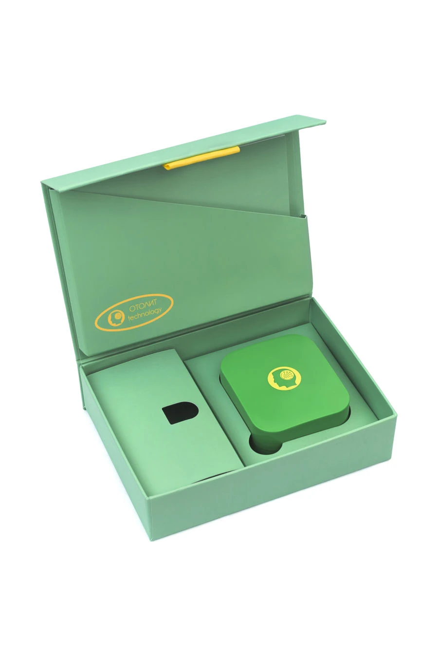 Medium Power Hearing Aid for Mild to Moderate Hearing Loss - Belenki