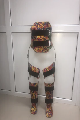 Lower Limb and Torso Rehabilitation Device