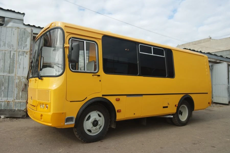 Special Cargo-Passenger Truck 120210-06 on PAZ-3205 Base
