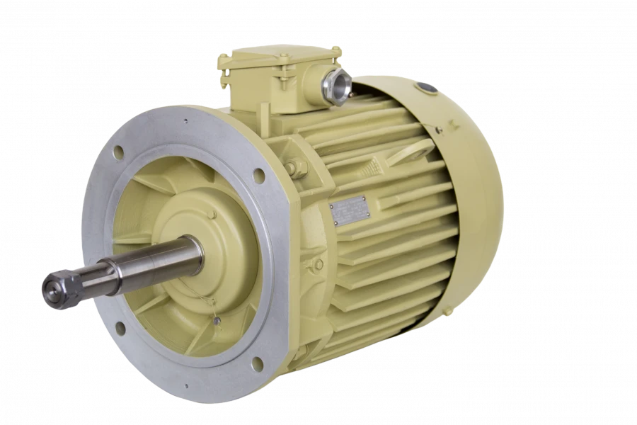 Three-Phase Induction Motors 2DMShN 160, 2DMShNM 160