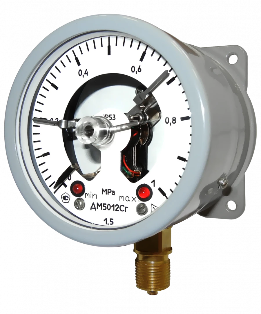 Pressure Gauge DM5012Cg for Measuring Excess Pressure
