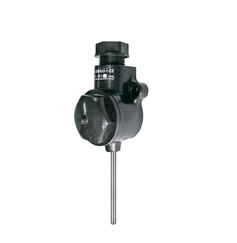 Resistance Thermometer TCMr (TSPr)-Kl3-1 for Air Temperature Control
