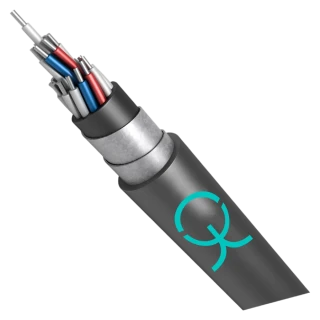 Control Cable AKVVG Eng(A) 660V with Plastic Insulation