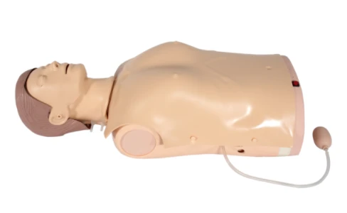 Advanced CPR Training Manikin with Sound and Light Indicators, CPR1950P