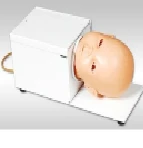 Infant Venepuncture Head Model, Art. G3