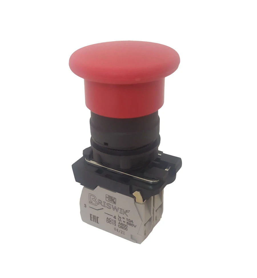 Push Button Switch with Mushroom Head 22mm Plastic (KME 5)