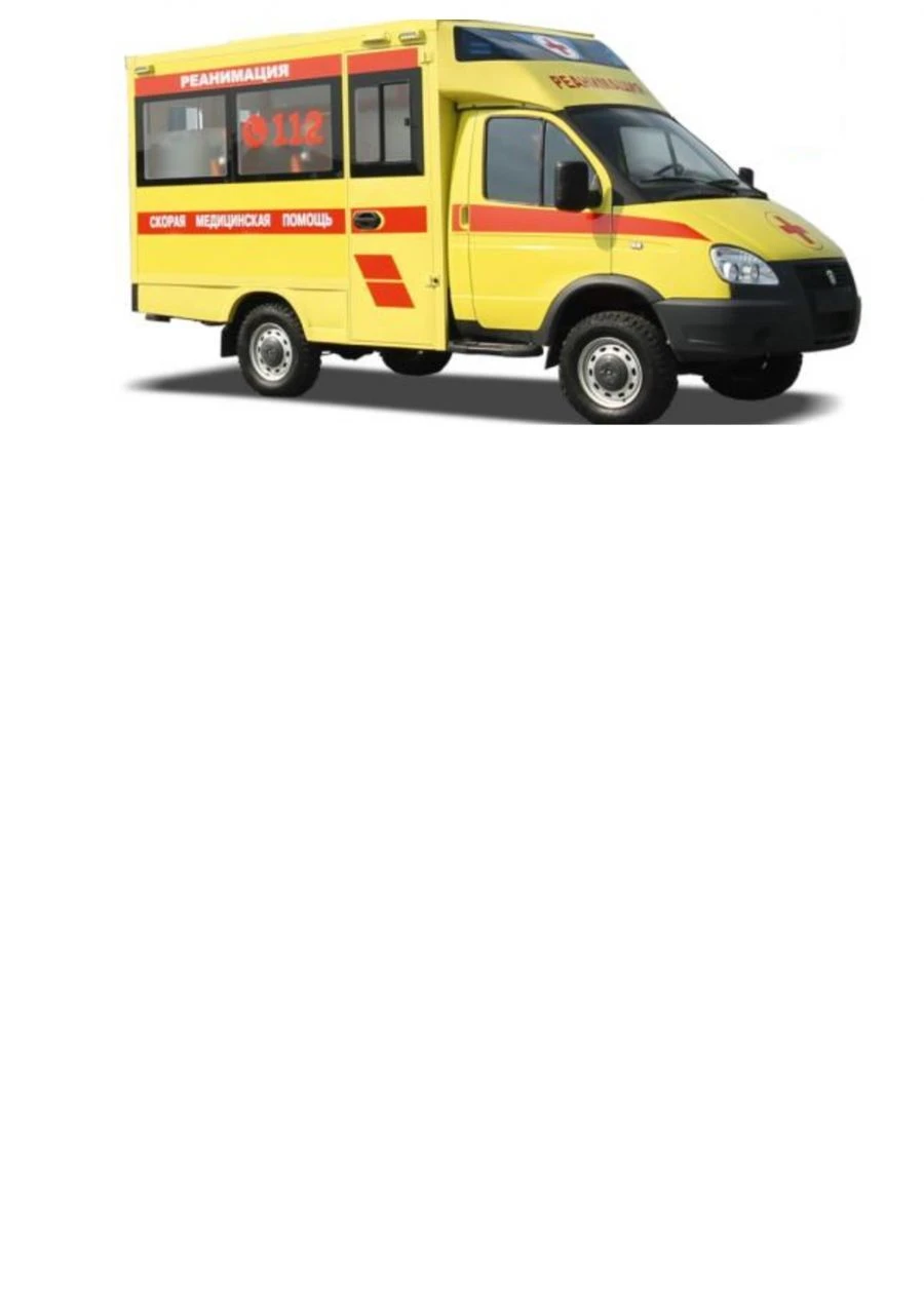 Emergency Medical Vehicle, Type 2243G, Model 224395, Diesel Engine