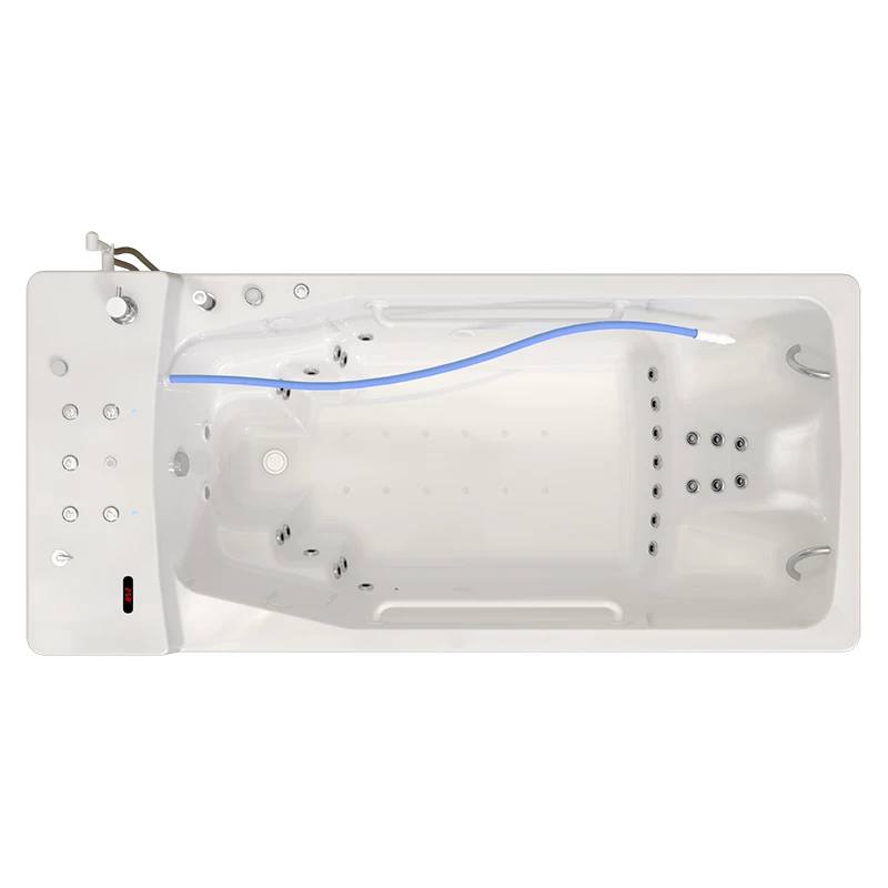 Hydro and Aeromassage Medical Bath "Radomir" VMG1-"Olympia