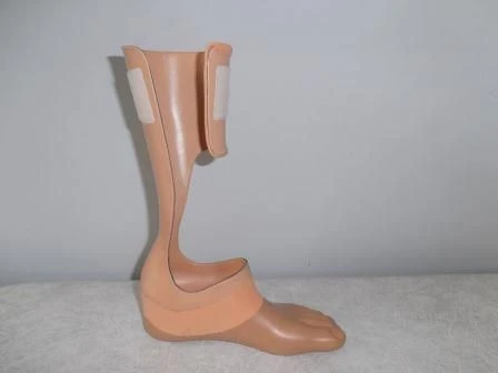 Foot Prosthesis for Amputation Rehabilitation