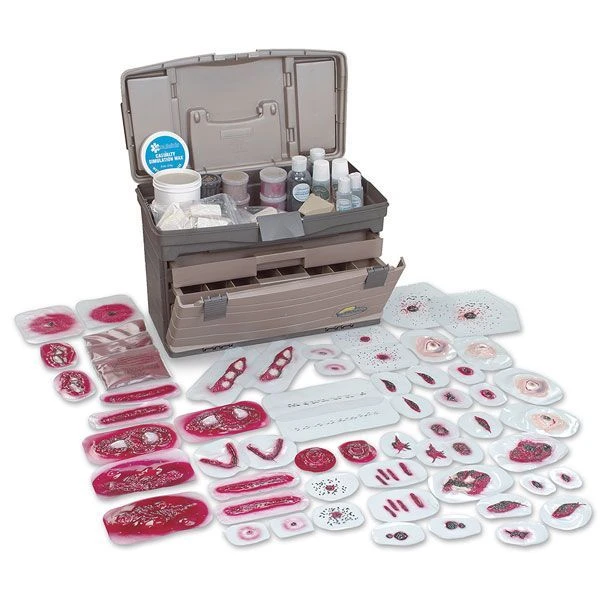 Forensic Medicine Training Model Set 30006