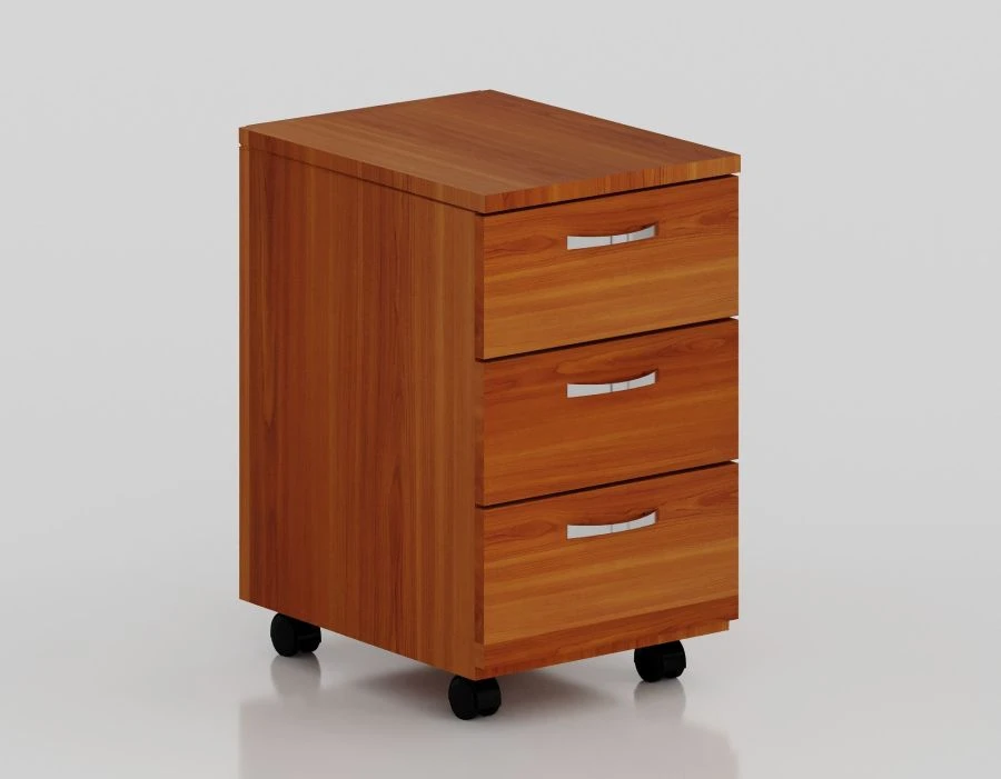 Mobile Storage Cabinet for Papers