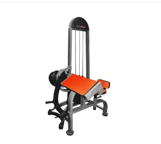 Bicep Curl Machine for Effective Arm Training - TG-0060-C