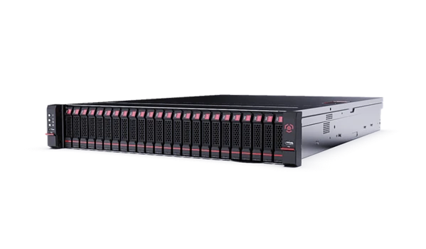 High-Performance Graviton Server C2242A, ECRT.466535.001-24