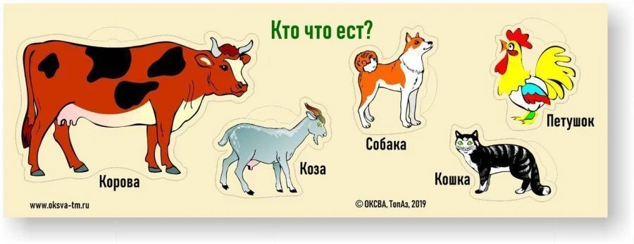 Who Eats What? Domestic Animals Educational Game