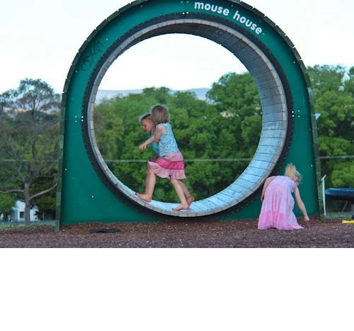 Outdoor Running Track for Mice - Mouse House