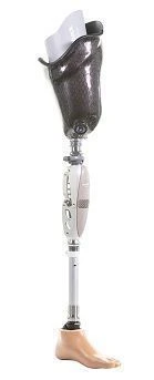 Modular Hip Prosthesis for Individuals with Mobility Limitations, PN6-OB