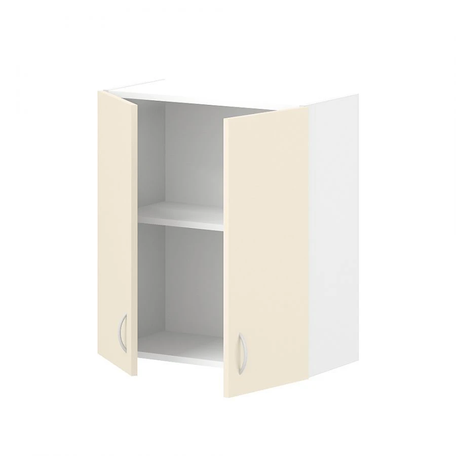 Wall-Mounted Cabinet with Two Doors