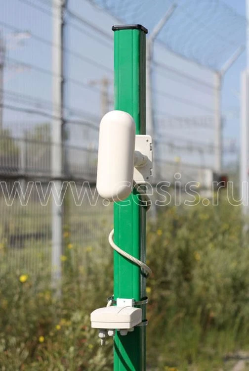 PREPONA-D Linear Microwave Security Detector