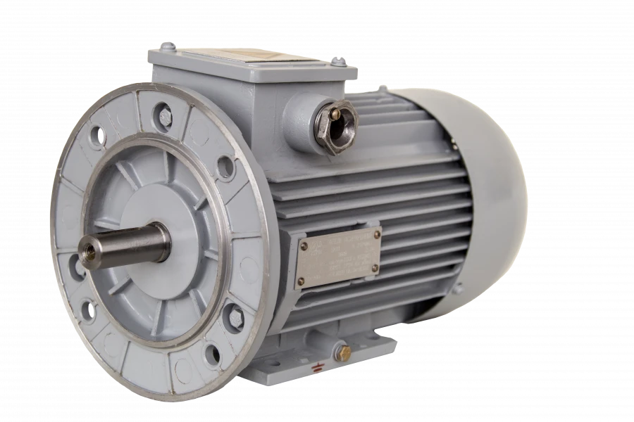 Three-Phase Asynchronous Electric Motors rDM 80