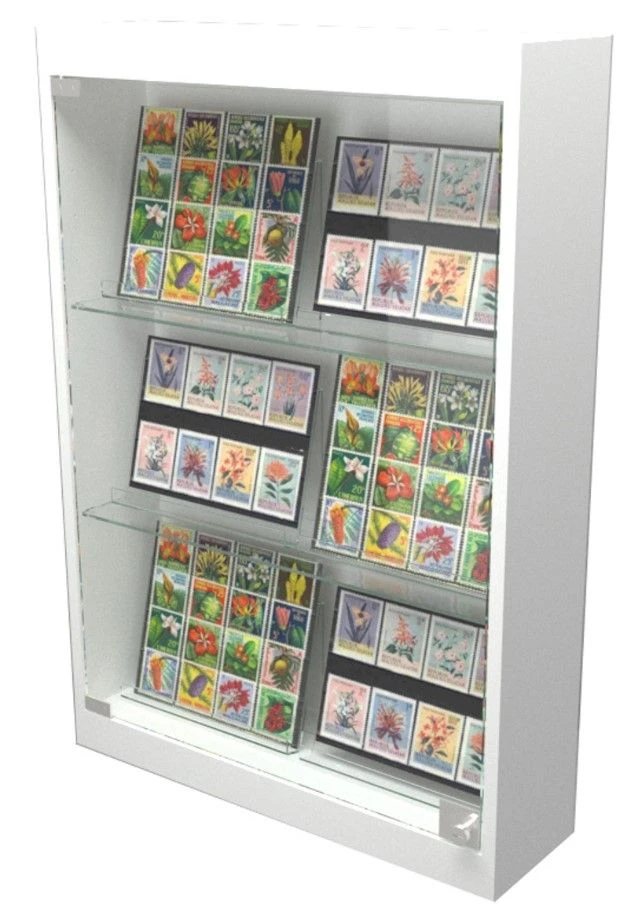 Wall Display Case C with Glass Door